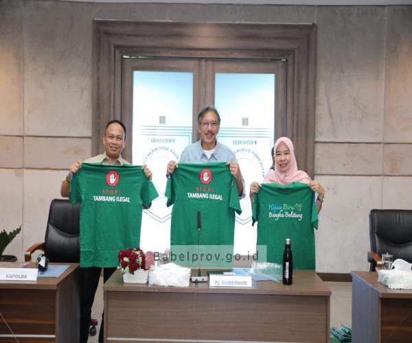 Pemprov Kep. Babel Bentuk Satgas Tambang Timah Ilegal